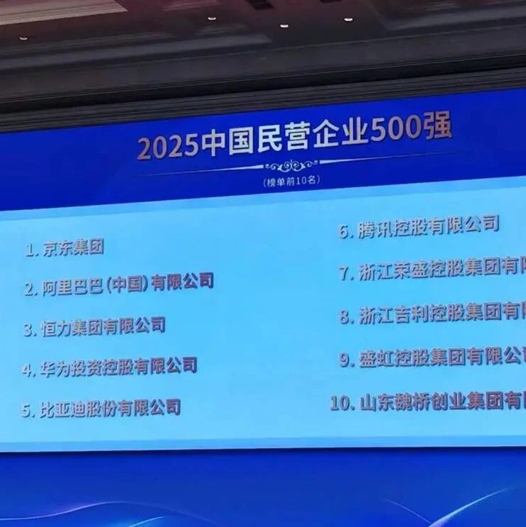 2025中国民营企业500强出炉