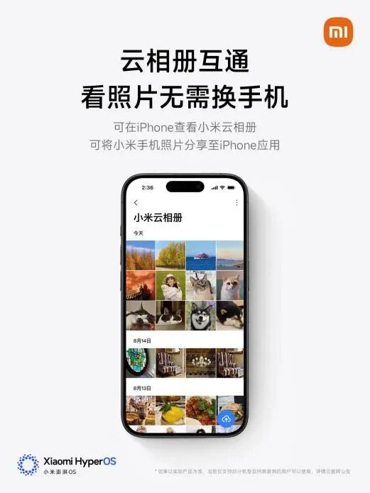 资讯配图