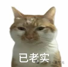 资讯配图