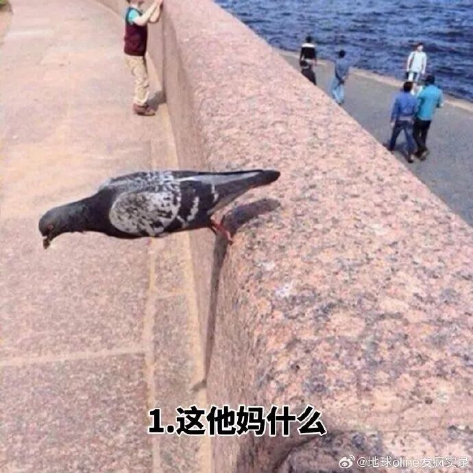 资讯配图