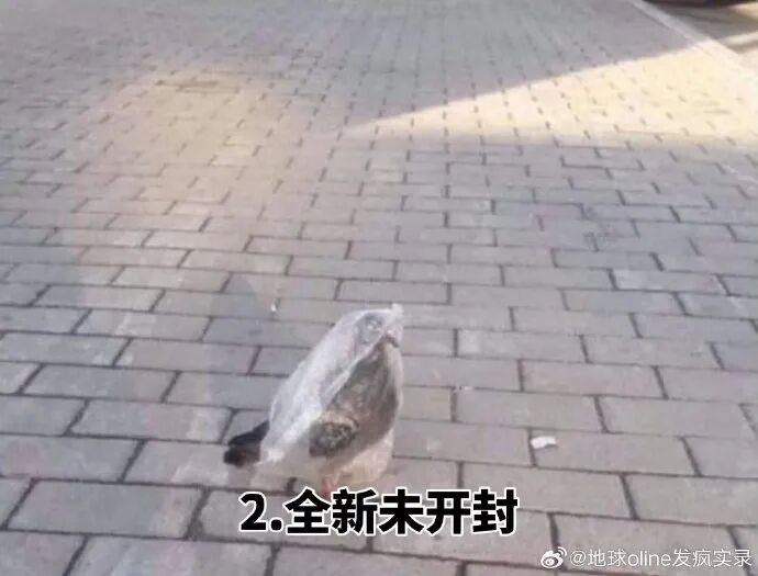 资讯配图