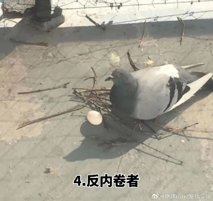 资讯配图