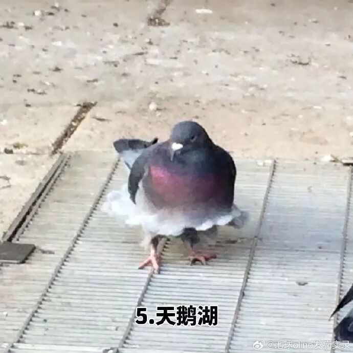 资讯配图