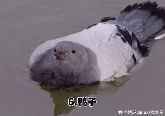 资讯配图