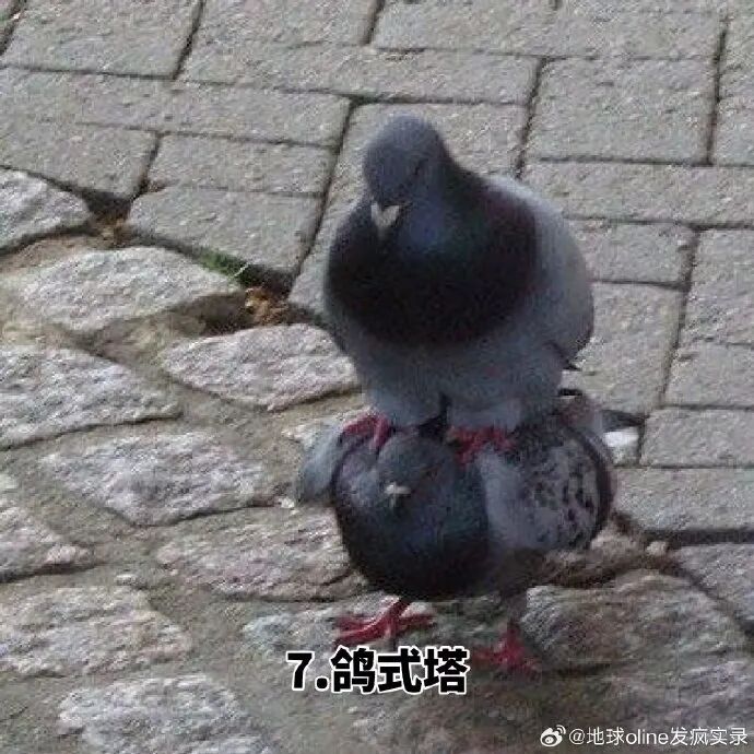 资讯配图