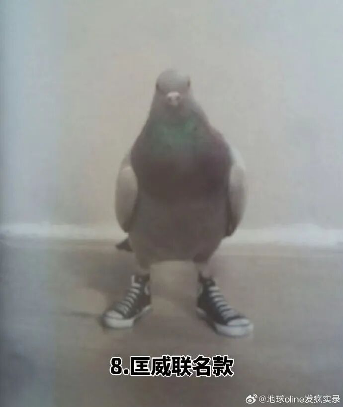 资讯配图