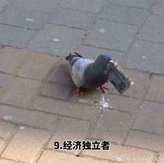 资讯配图