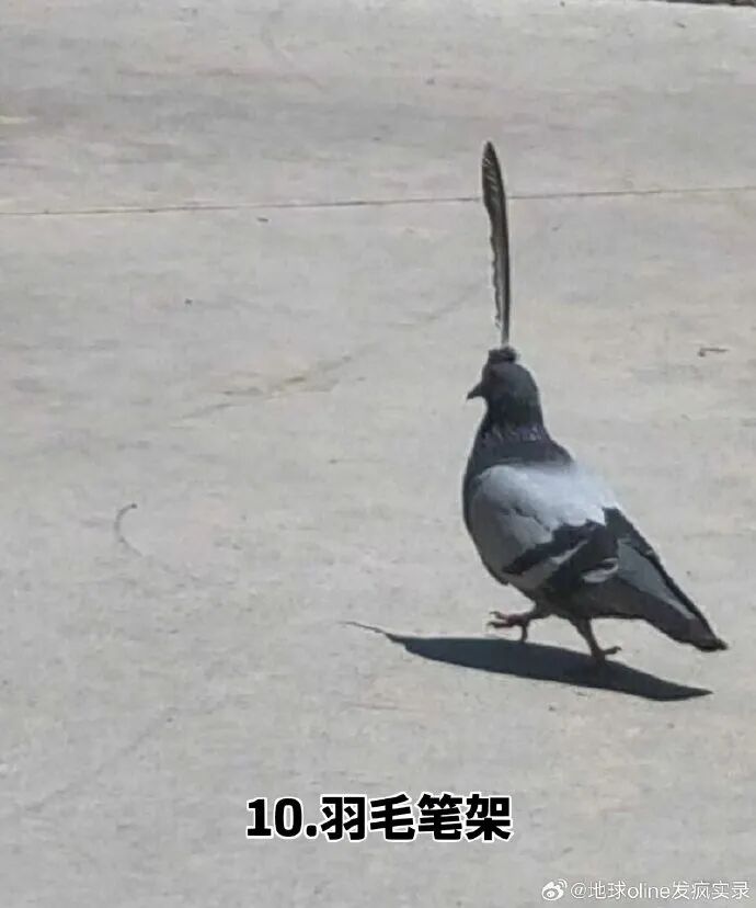 资讯配图