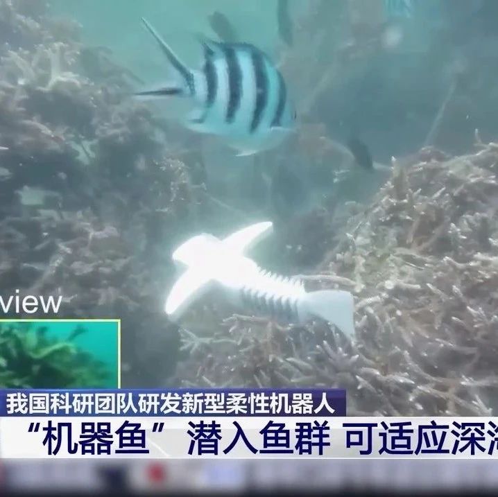 可潜入4000米深海！我国最新研制的“机器鱼”来了