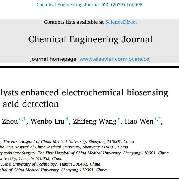 Chem. Eng. J：双原子FeCo催化剂增强尿酸检测电化学生物传感性能