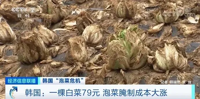 资讯配图