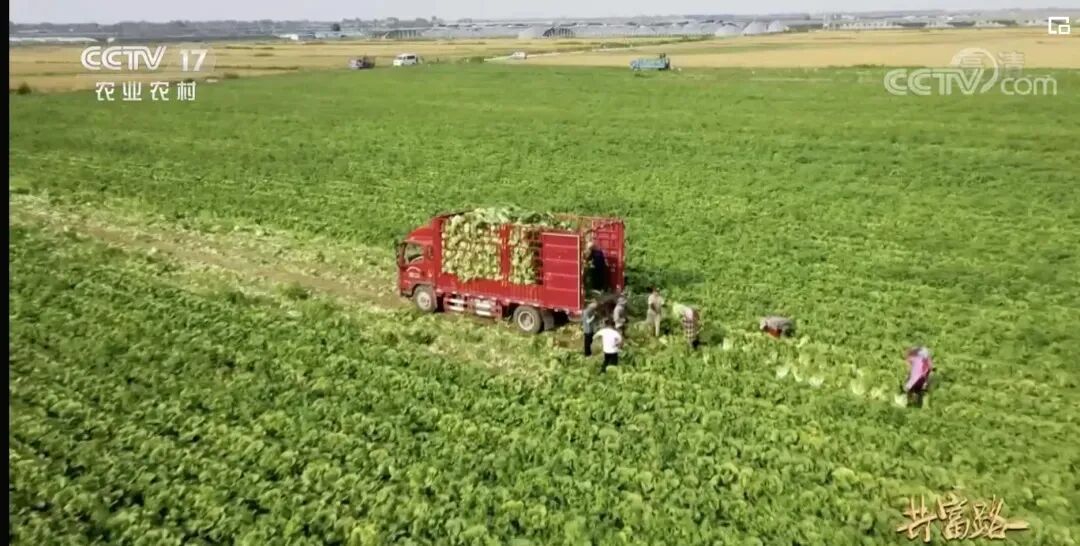 资讯配图