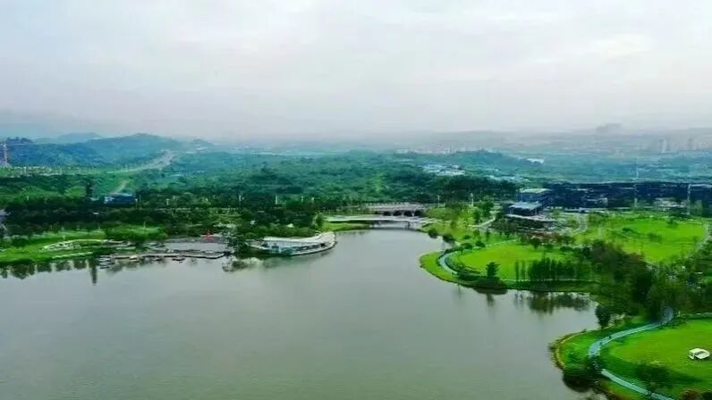 资讯配图