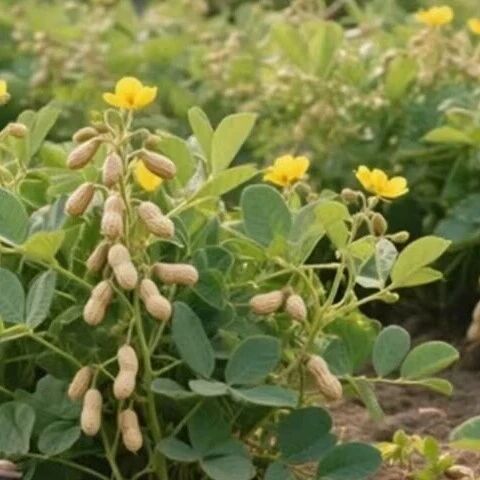 花生上树了？AI竟然敢这么玩