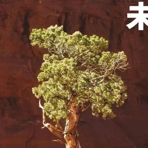 苹果首席机器人研究员被Meta挖走/iPhone 17 Air国行有望支持eSIM/微信撤回聊天发Live图功能灰测