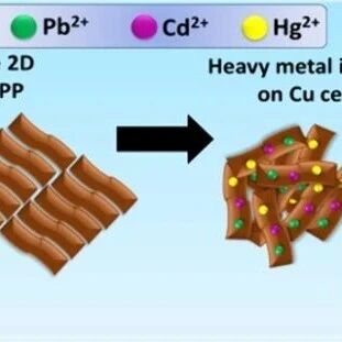 ACS Appl  Mater Interfaces：基于铜卟啉金属有机框架的有毒重金属三重检测与传感研究