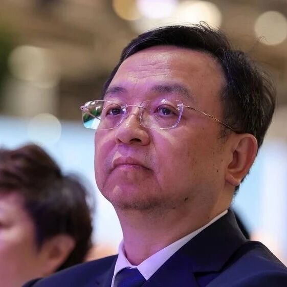 “不及预期”的比亚迪，隐形的“另一半”