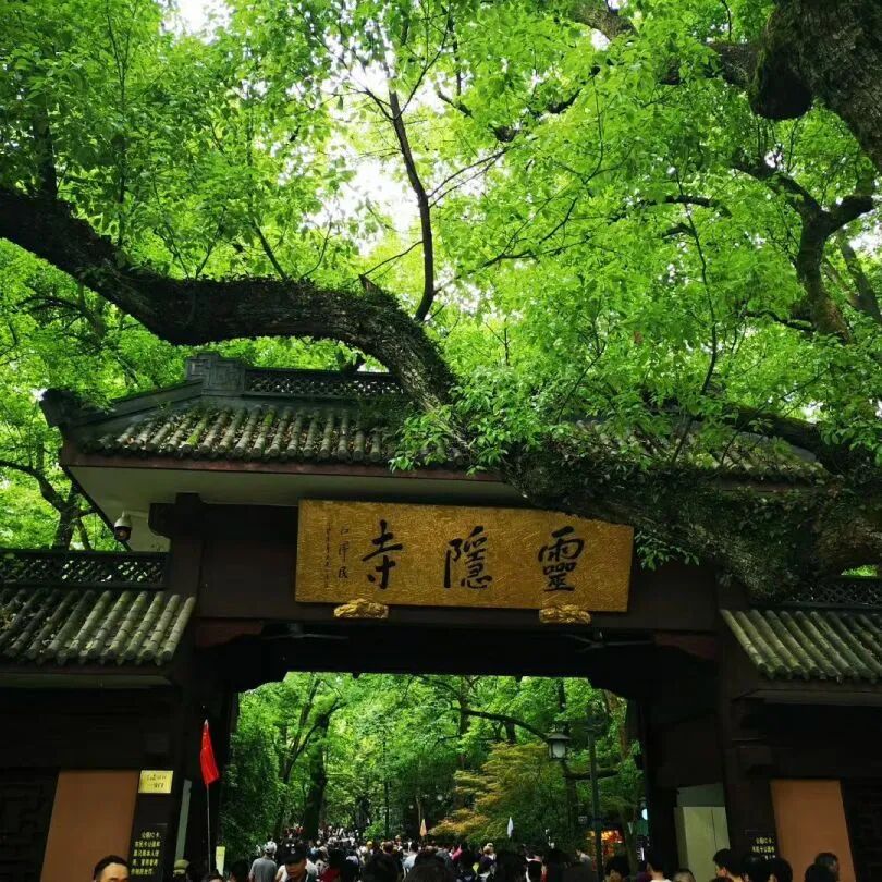 资讯配图