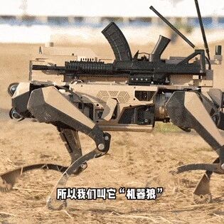 九三阅兵刷屏名场面：“机器狼”出动！