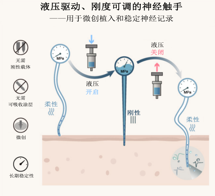 资讯配图