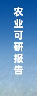 资讯配图
