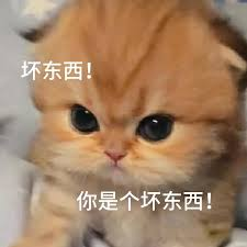 资讯配图