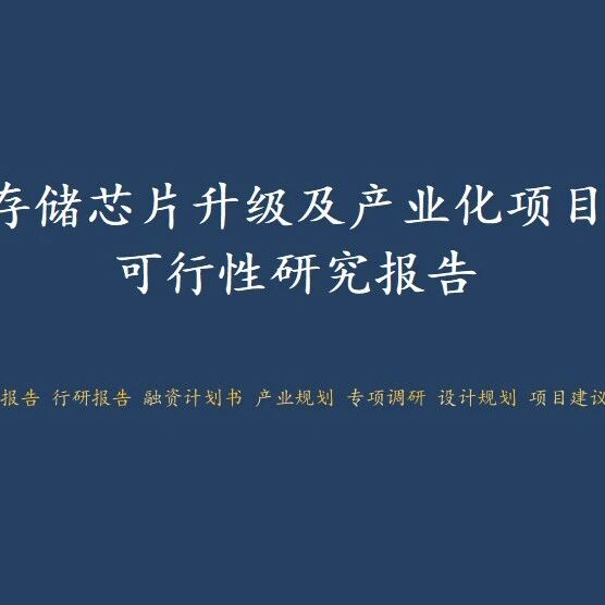 深圳市南山区-存储芯片升级及产业化项目可行性研究报告