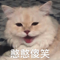 资讯配图