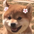 资讯配图