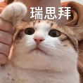 资讯配图
