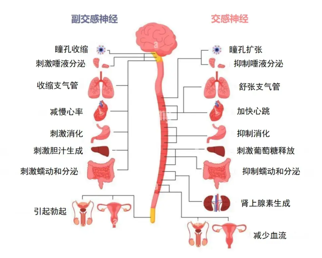 资讯配图