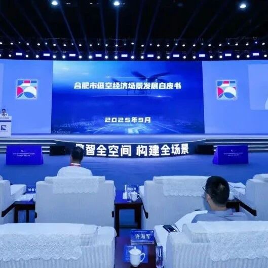 首个城市级低空场景白皮书！《合肥市低空经济场景发展白皮书》正式发布