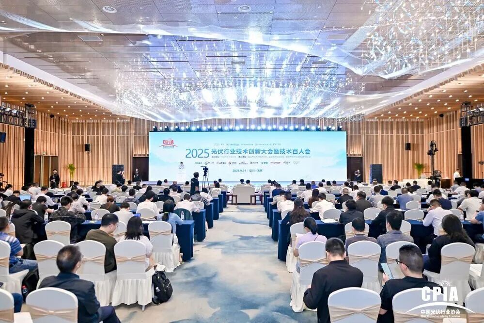 2025光伏行业技术创新大会暨技术百人会在宜宾召开图8