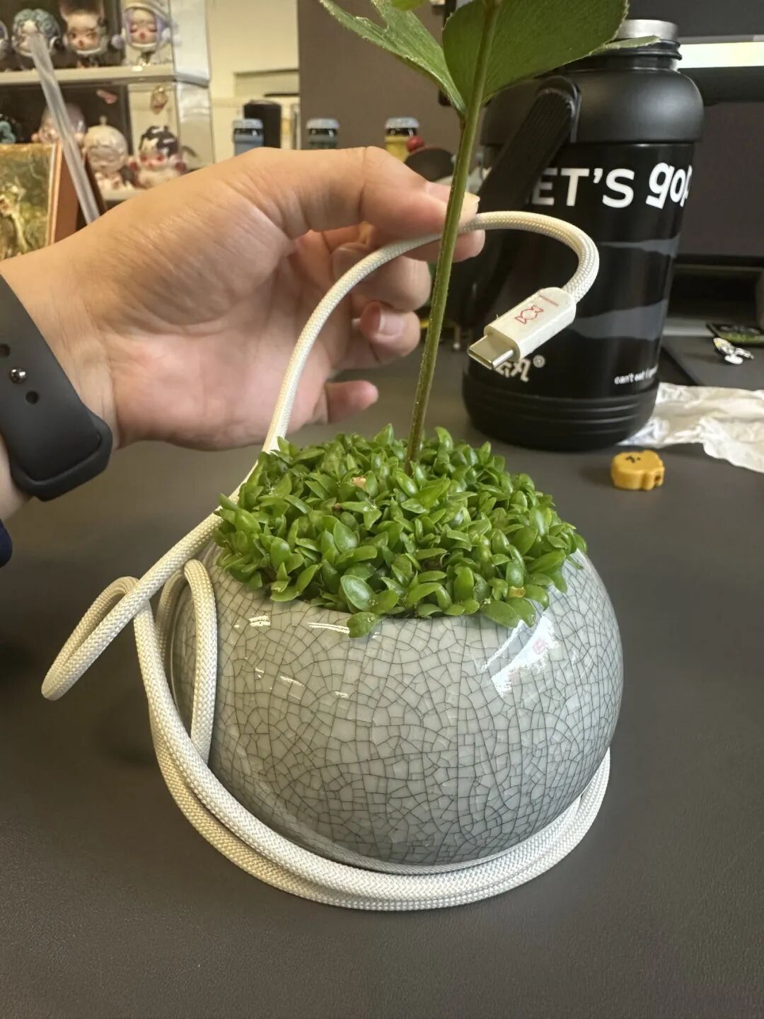 贴贴新浪！制糖工厂以旧换新第三十站最强 repo图22