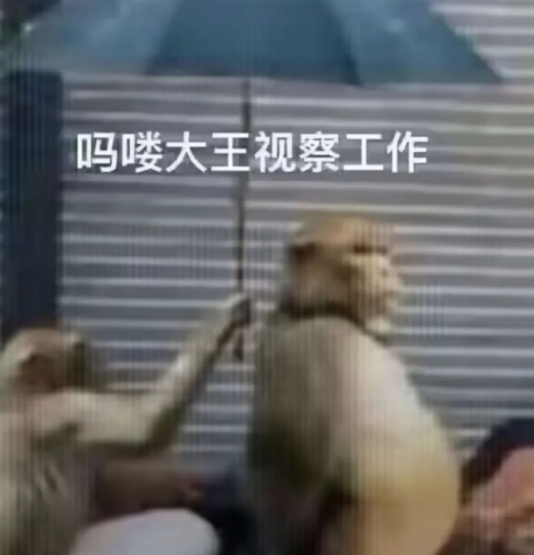 越来越挤的云栖大会，越来越 AI 的阿里巴巴图17