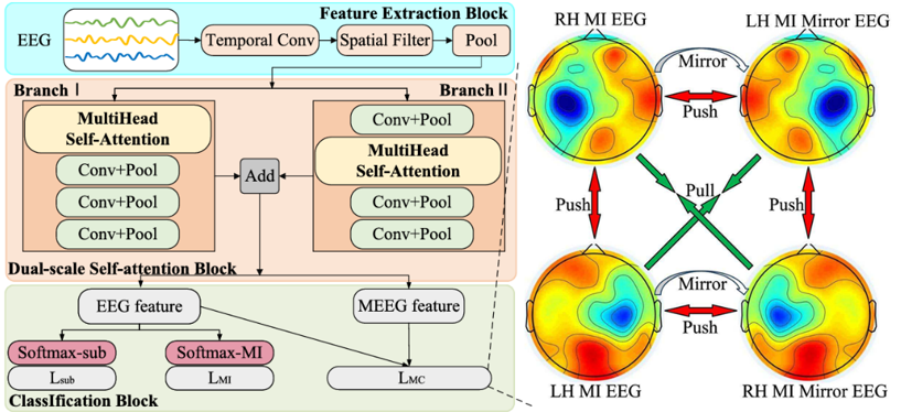 IEEE TIM | 基于镜像中心损失的双尺度双Softmax Transformer用于运动想象识别中的多源主体迁移学习图6
