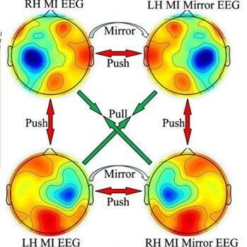 IEEE TIM | 基于镜像中心损失的双尺度双Softmax Transformer用于运动想象识别中的多源主体迁移学习
