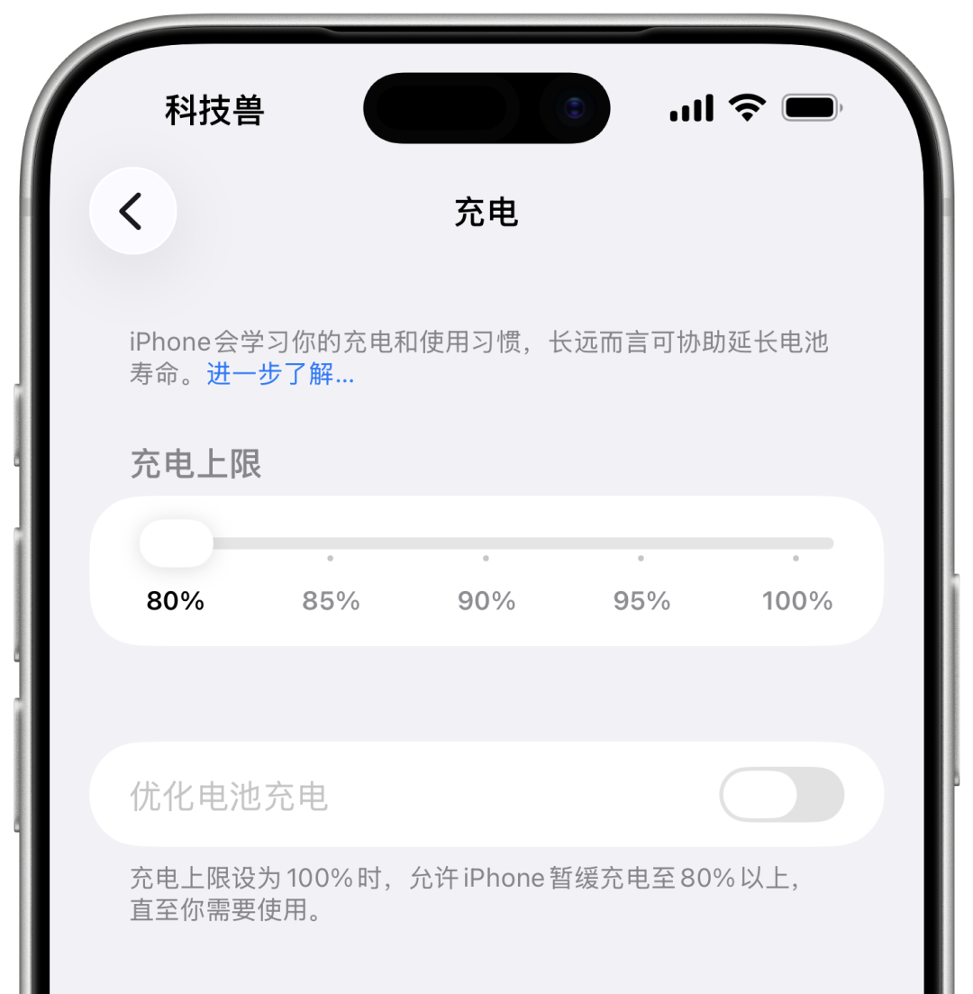 80% 充电限制能延长 iPhone 电池寿命吗？一年实测结果来了！图2