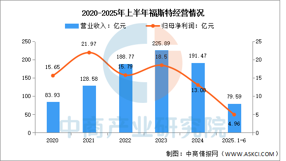 2025年中国光伏胶膜行业市场前景预测研究报告图13