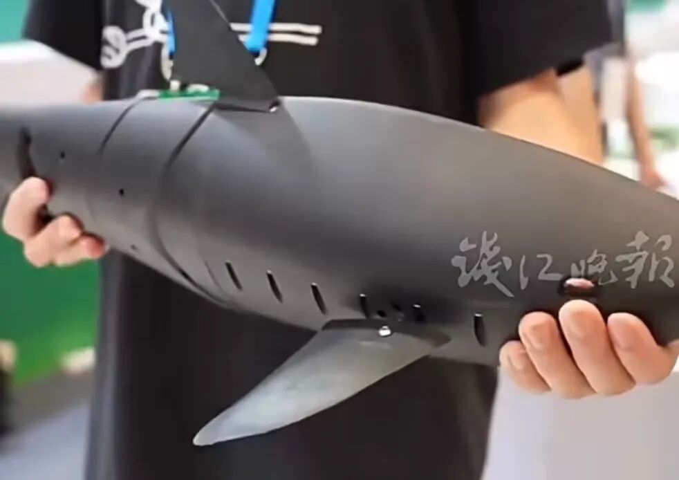 杭州西湖景区投放鲤鱼造型“仿生机器鱼”,用于应急打捞及环境监测用途图2