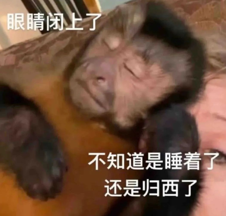 高端化之后，小米有了新的野心。图21