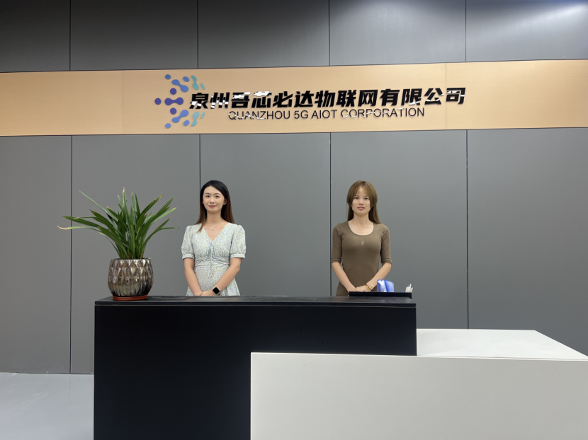 晋江：产业引航，筑牢 AIoT “芯” 根基图3