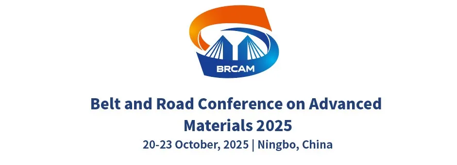 上交大、哈工大、南洋理工大学、澳大、浙工大、南非大学......2025一带一路国际先进材料大会能源材料论坛图9