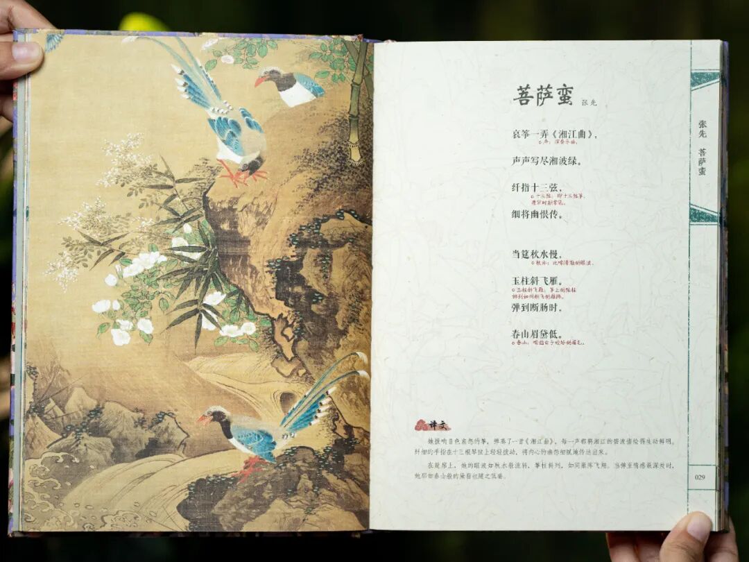 一本宋词，带你重回那个风华绝代的黄金时代图26