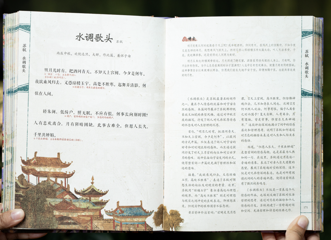 一本宋词，带你重回那个风华绝代的黄金时代图29