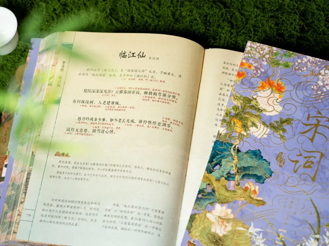一本宋词，带你重回那个风华绝代的黄金时代图30