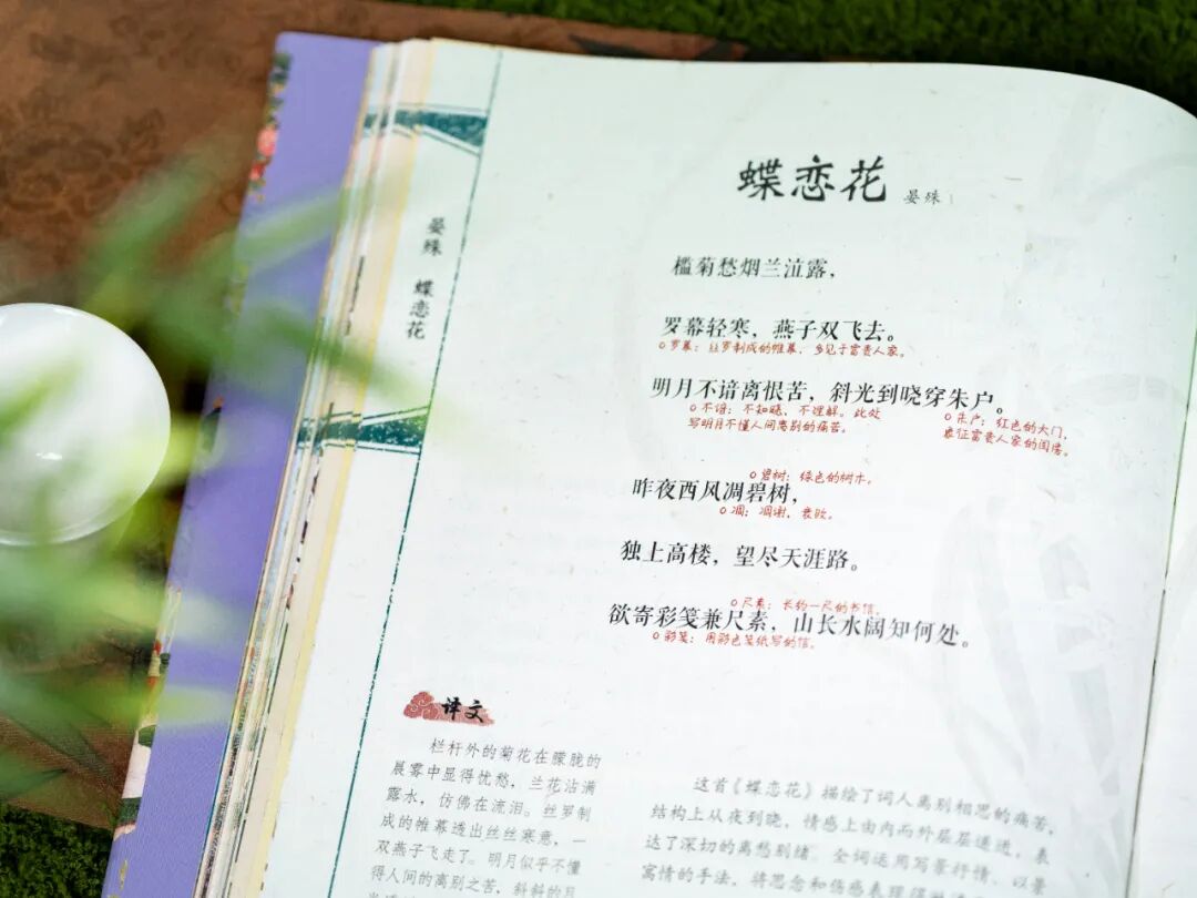 一本宋词，带你重回那个风华绝代的黄金时代图32