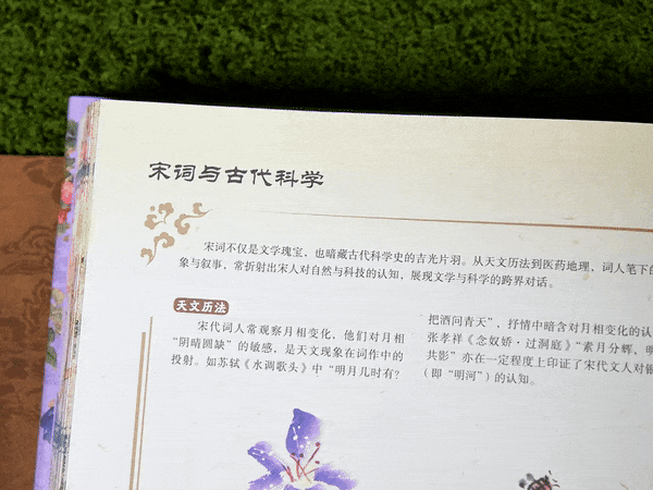 一本宋词，带你重回那个风华绝代的黄金时代图40