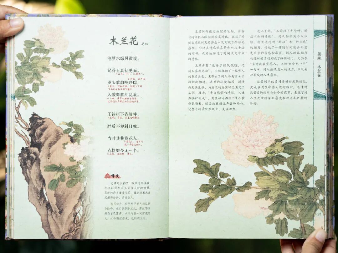 一本宋词，带你重回那个风华绝代的黄金时代图44