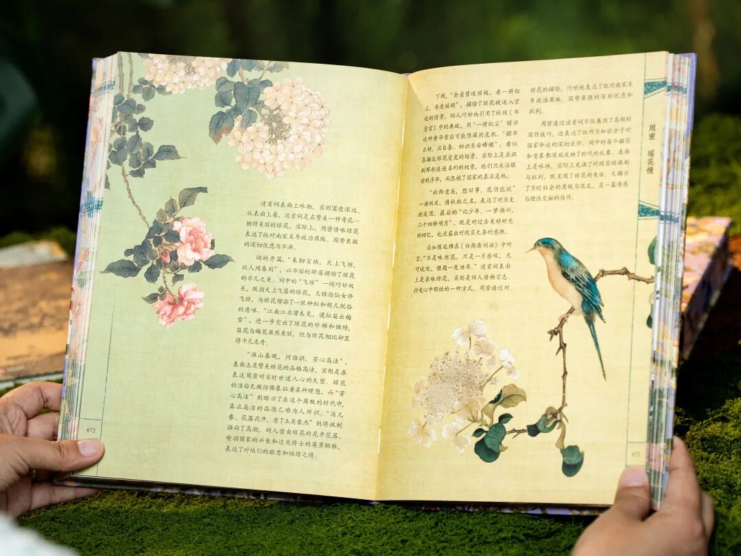 一本宋词，带你重回那个风华绝代的黄金时代图47
